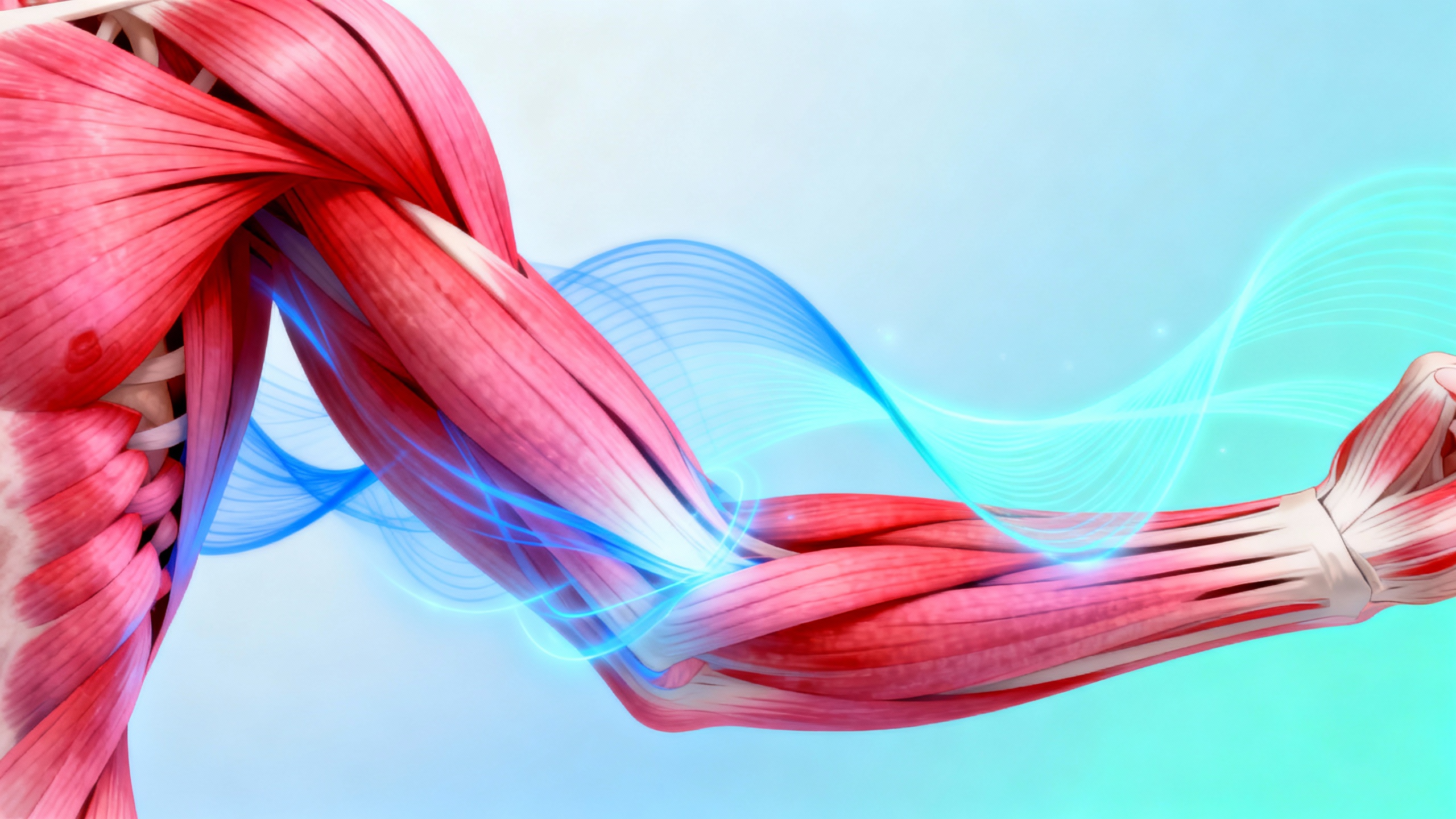 Featured image for Unleashing Strength: Effective Coping Strategies for Muscle Inflammation